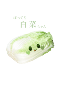 ぽってり 白菜 ちゃん　3