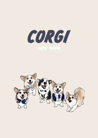 corgicorgi4 - cream