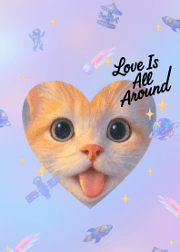 Love Is All Around : lil cat