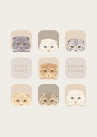CATS - Scottish fold - BEIGE GRAY