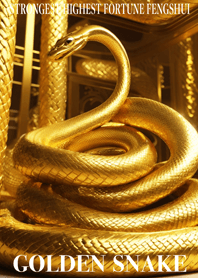 Golden Snake Lucky 04