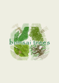 Bonsai trees