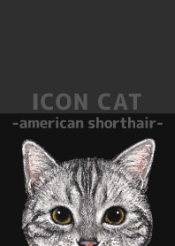 ICON CAT - American Shorthair - BLACK/05