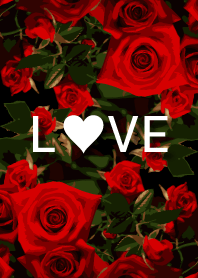 LOVE ROSE