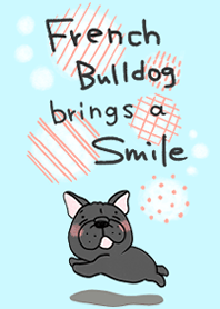 Bulldog francês sorri ver preto.