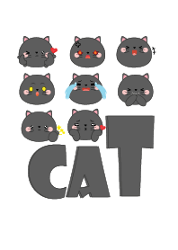 หน้าแมวดำน่ารักๆ
