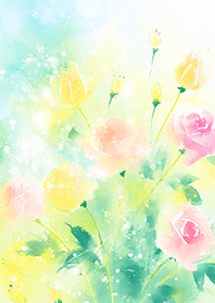 Beautiful rose flower(R2019)