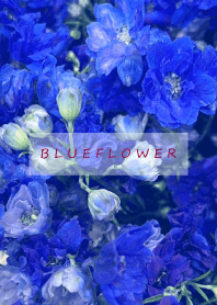 BLUE FLOWER-hisatoto 5