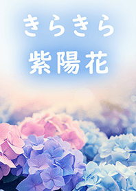 きらきら紫陽花