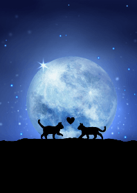 満月の夜の逢瀬