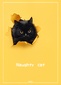 Naughty cat yellow