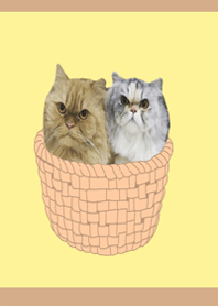 Chayen and Whawyen.