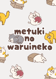 Cat of a bad face Theme  wallpaper like