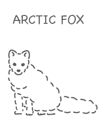 ホッキョクギツネ シンプル ホワイト