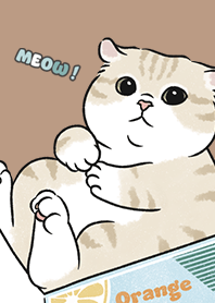 neko single17 / mocha