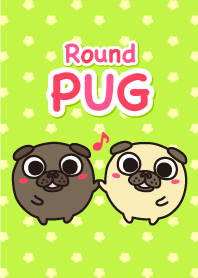 Round Pug