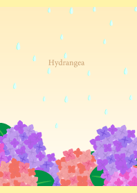 Rain and Hydrangea on light yellow