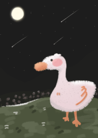 duck in the moonlight