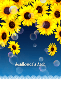 Sunflower's Arch *