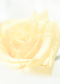 バラのきせかえ27