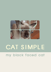 my black faced cat , simple