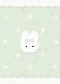 pistachio Warm Rabbit 07_2