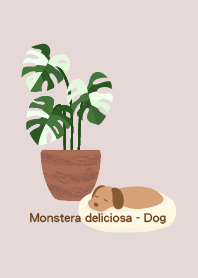 Monstera deliciosa - Dog