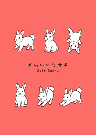 My cute little white rabbit(cosmetic)