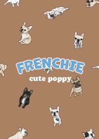 frenchie7 - caramel