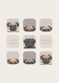 DOGS - Pug - BROWN GRAY