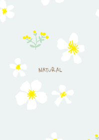 yellow and white flowers14 from Japan