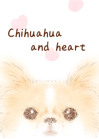 Chihuahua and heart