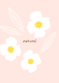 3 flowers and leaves13 from Japan