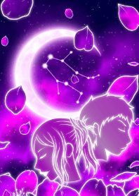 紫色樱花双子座