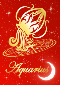 Zodiac signs Aquarius5 Christmas Ver.