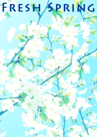 Fresh Spring