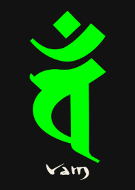 BONJI zodiac [vaM] BLACK GREEN (0691
