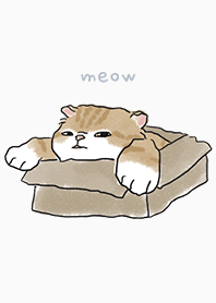 neko drawing2 / white