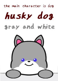 husky dog theme1 gray white