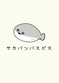 少し顔がうるさいサカバンバスピス