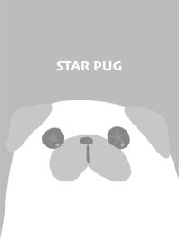 star pug