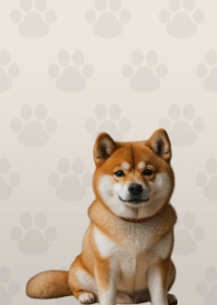 Cute Shibainu Theme Beige 01