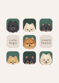 DOGS - Pomeranian - FOREST GREEN