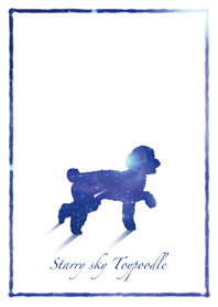 Starry sky Toypoodle