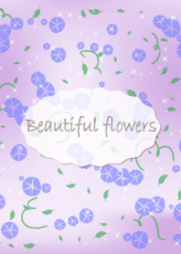 Beautiful flowers (morning glory)