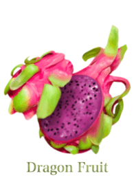 Tropical Dragon Fruit 14