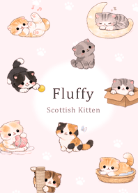 soft and fluffy Scottish Fold Pink