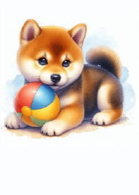 Shiba's Ball Fun