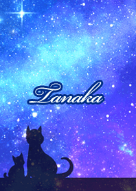 Tanaka Milky way & cat silhouette