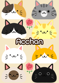 Acchan Scandinavian cute cat3